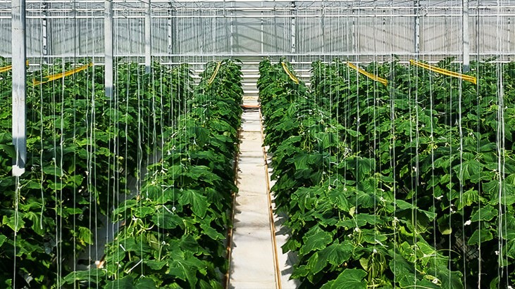 aquactiva solutions|aquactiva solutions|aquactiva solutions|aquactiva solutions